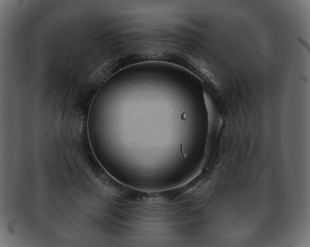 X0000093220645200709261632