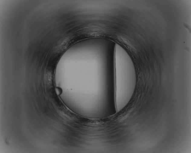 X0000093220646200709261632
