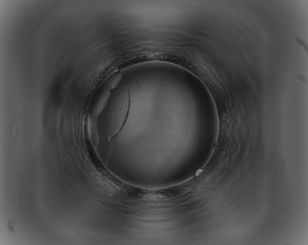 X0000093220650200709261632