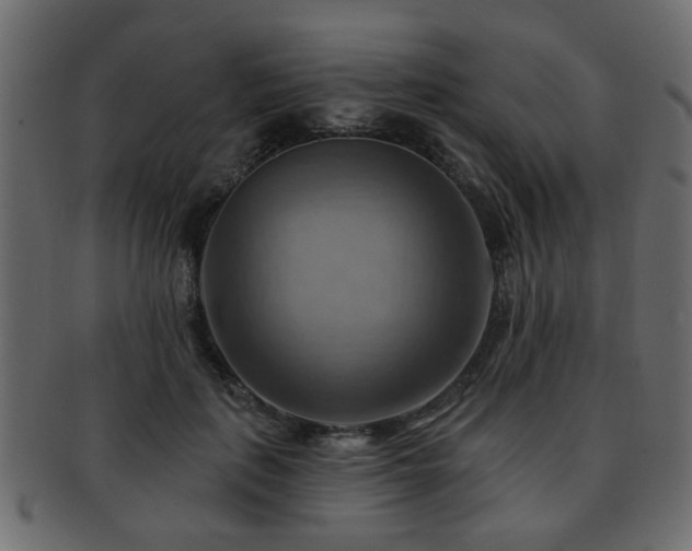 X0000093220651200709261632
