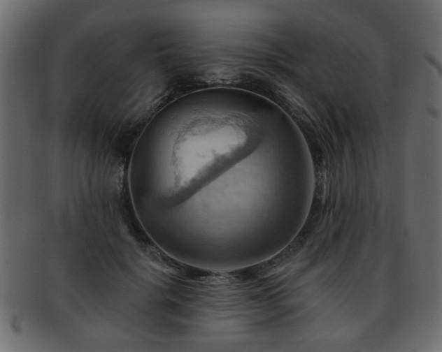 X0000093220652200709261632