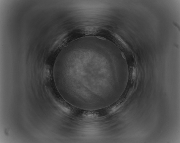 X0000093220655200709261632