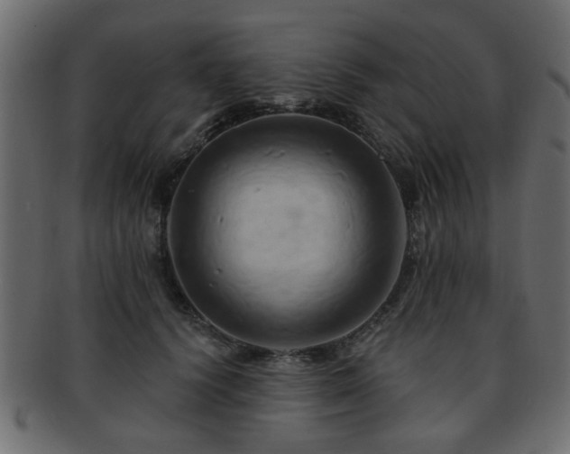 X0000093220656200709261632