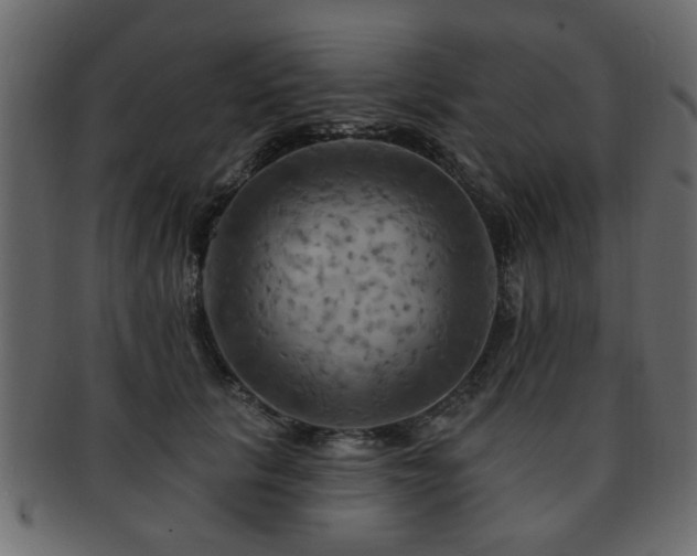 X0000093220657200709261633