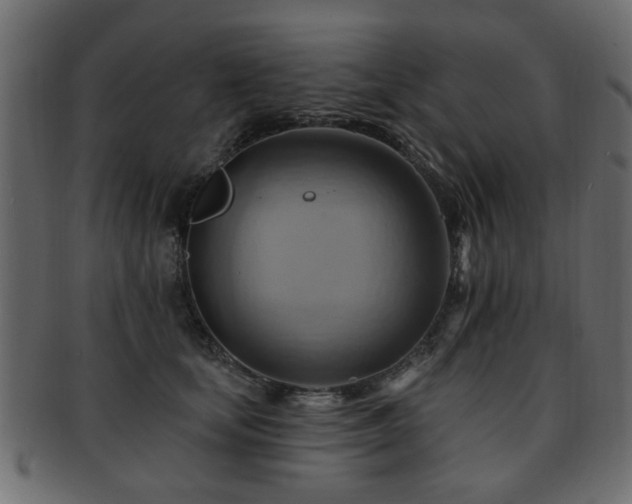 X0000093220659200709261633