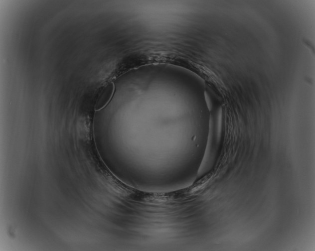 X0000093220661200709261633