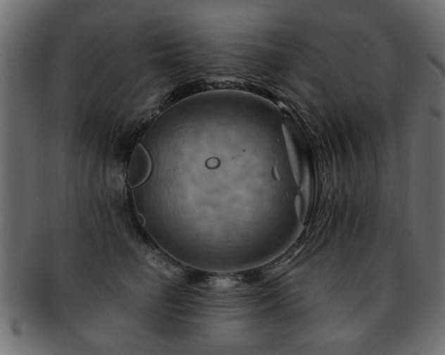 X0000093220662200709261633
