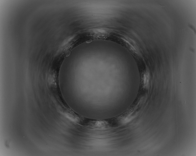 X0000093220663200709261633