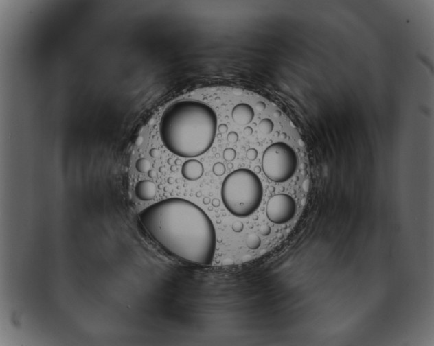 X0000093220665200709261633