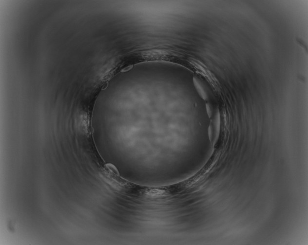 X0000093220669200709261633
