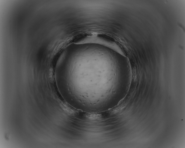 X0000093220670200709261633