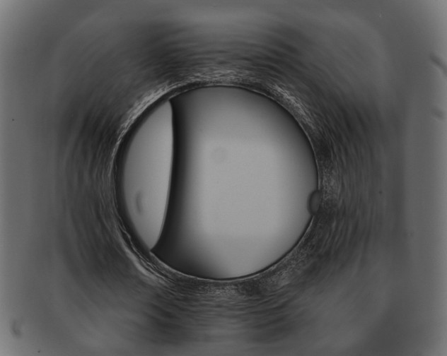 X0000093220674200709261632
