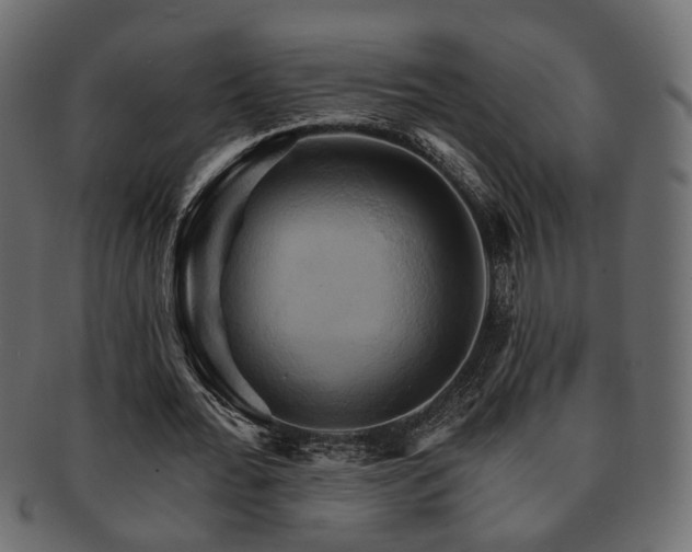X0000093220676200709261632