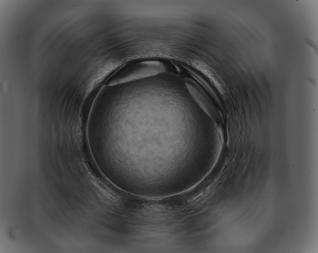 X0000093220677200709261632