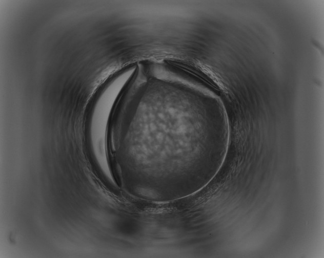 X0000093220679200709261632
