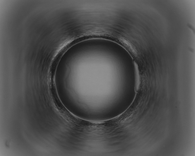 X0000093220680200709261632