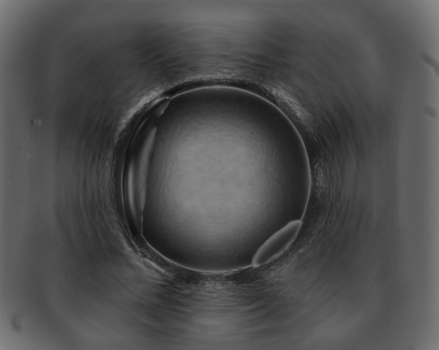 X0000093220684200709261632