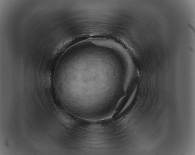 X0000093220685200709261632