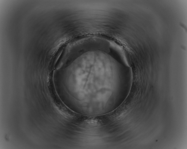 X0000093220687200709261632