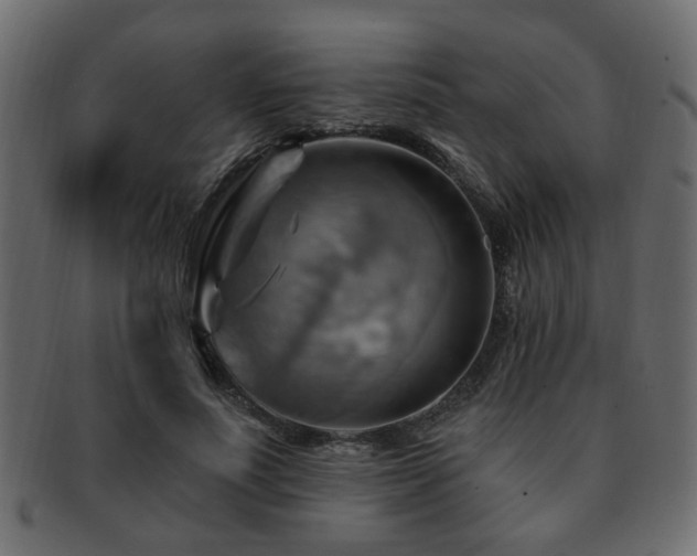 X0000093220691200709261632
