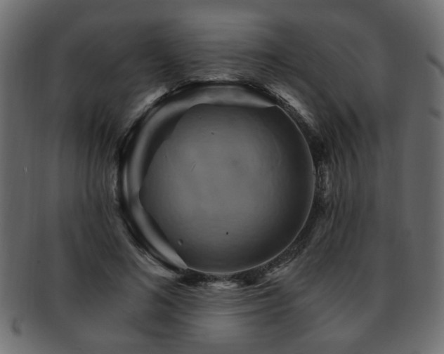 X0000093220692200709261632