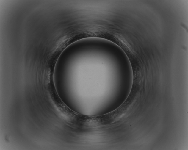 X0000093220694200709261632