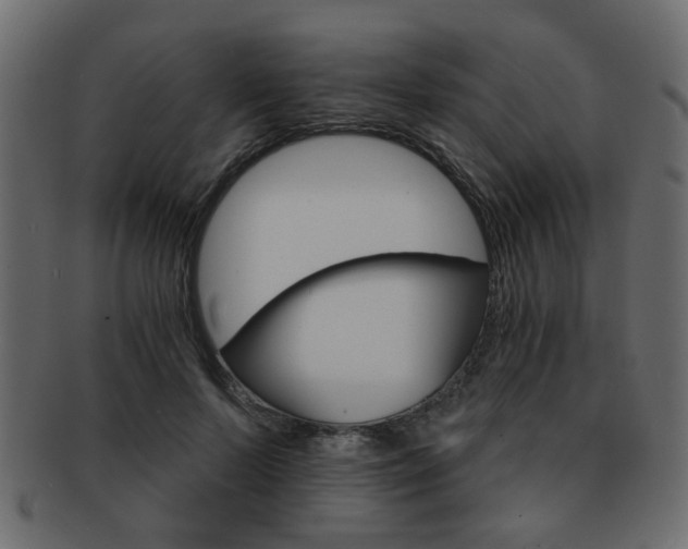 X0000093220695200709261632