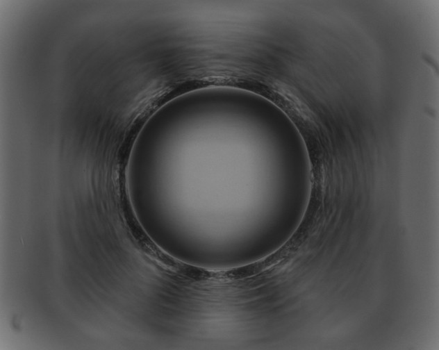 X0000093220696200709261632