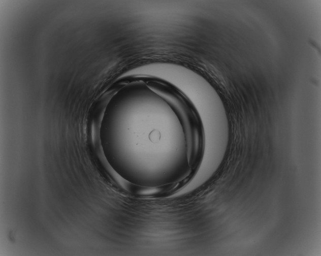 X0000093220697200709261632