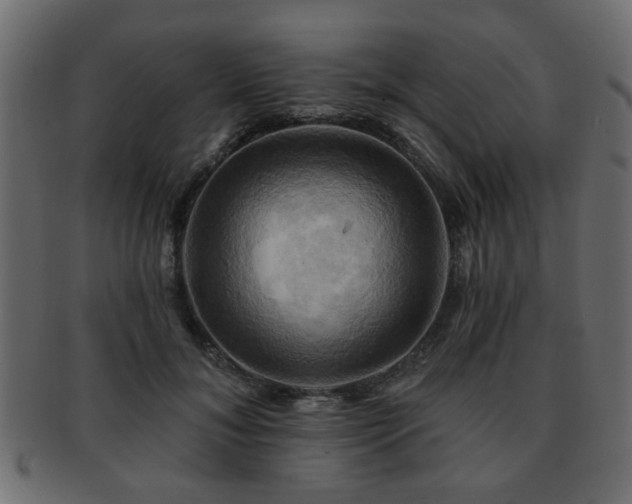 X0000093220700200709261632