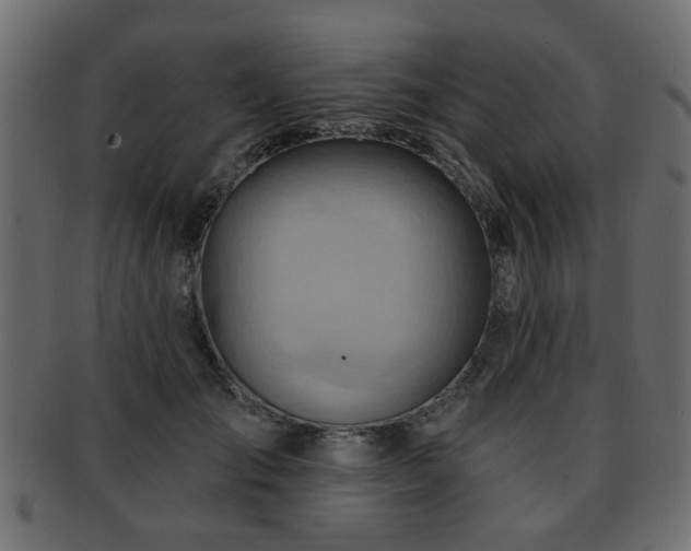 X0000093220701200709261632