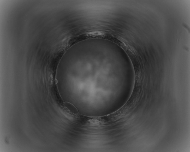 X0000093220703200709261632