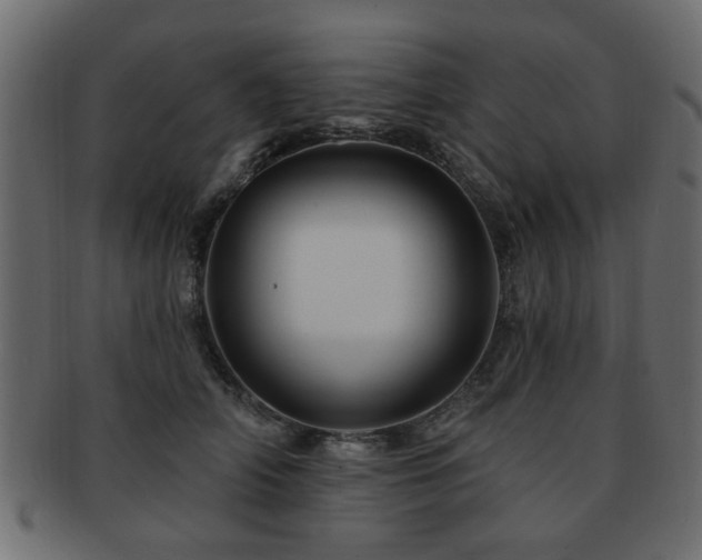 X0000093220706200709261632