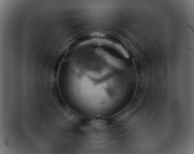 X0000093220707200709261632