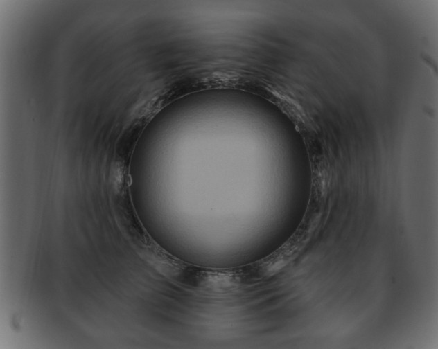 X0000093220709200709261632
