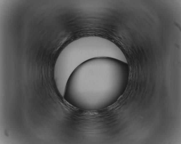 X0000093220712200709261632