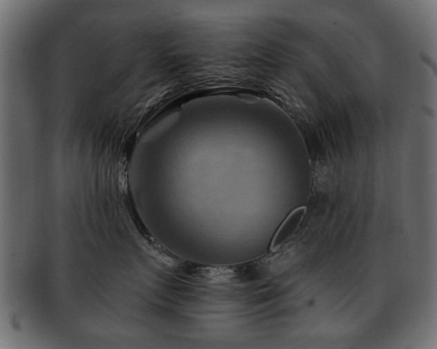 X0000093220719200709261632