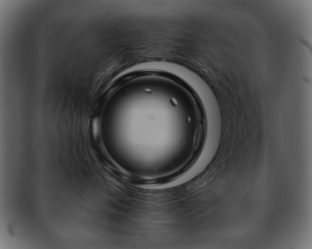 X0000093220720200709261632