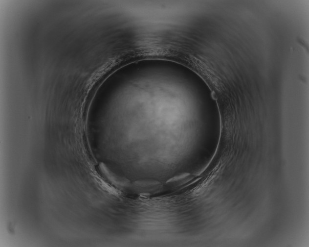 X0000093220721200709261631