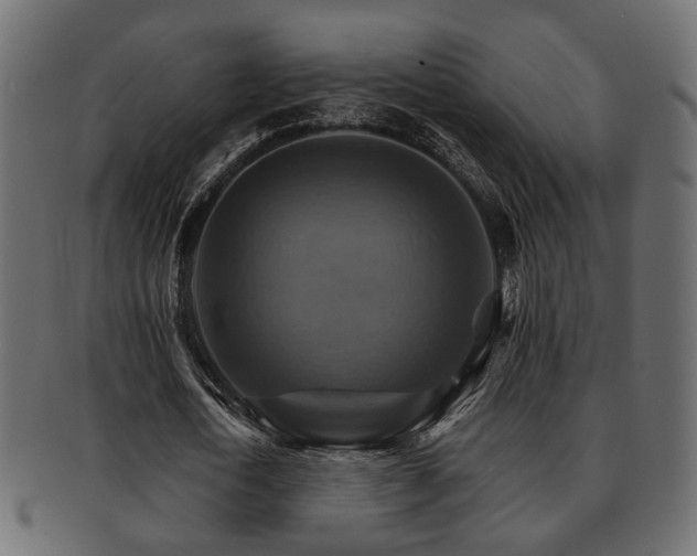 X0000093220722200709261631