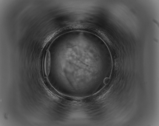 X0000093220725200709261631