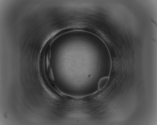 X0000093220726200709261631