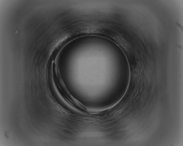 X0000093220727200709261631