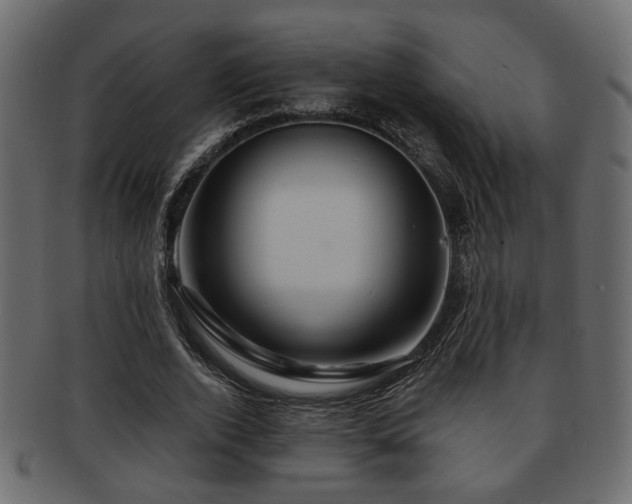 X0000093220728200709261631