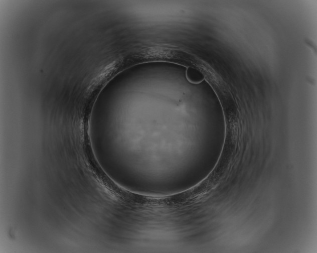 X0000093220729200709261631