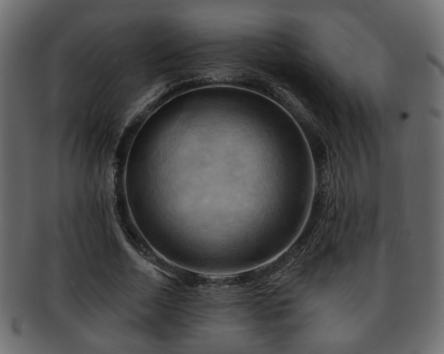 X0000093220730200709261631