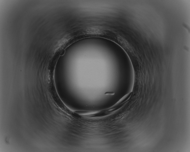 X0000093220731200709261631