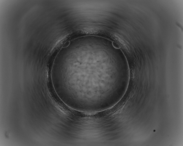 X0000093220733200709261631