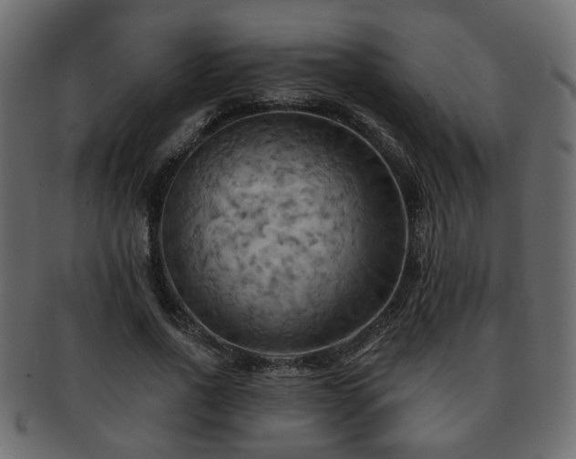 X0000093220734200709261631