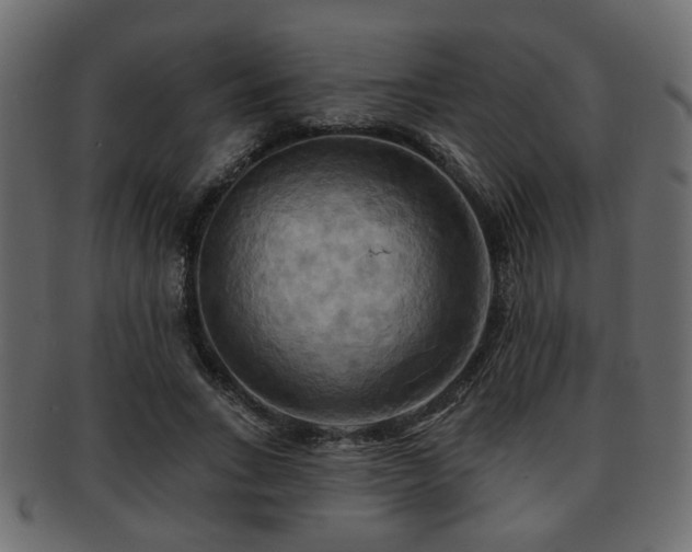 X0000093220735200709261631